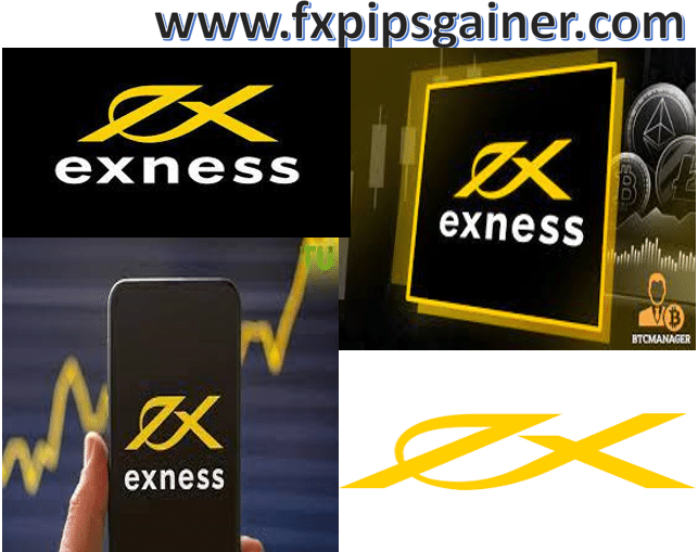Exploring the Exness Web Platform Features and Benefits